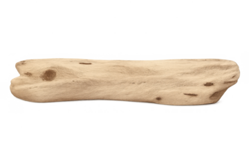 Driftwood branch isolated with weathered wood texture, natural organic material for beach and ocean themes