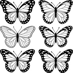 Obraz premium Set of detailed black and white butterfly illustrations showcases diverse wing patterns symbolizing nature beauty transformation and elegance