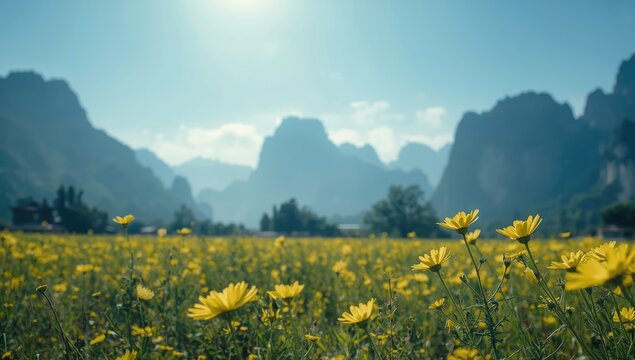 Spring mountain scenery featuring flowers, ideal for travel and outdoor activities, rural landscape, seasonal agriculture