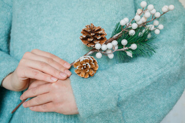 Pine Christmas conifer branch with cones in woman hands close up with copy space. Woman in warm winter mint sweater keeping festive decor branch.