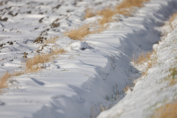 Drifting snow covers the ground with patches of dry grass peeking through