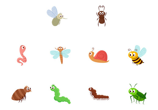 Colorful Insects Worm Butterfly Caterpillar Bee Illustrations Set