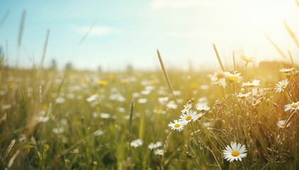 Bright spring landscape featuring a colorful array of wildflowers and blue sky, suitable for nature-themed layouts or environmental awareness, Earth Day