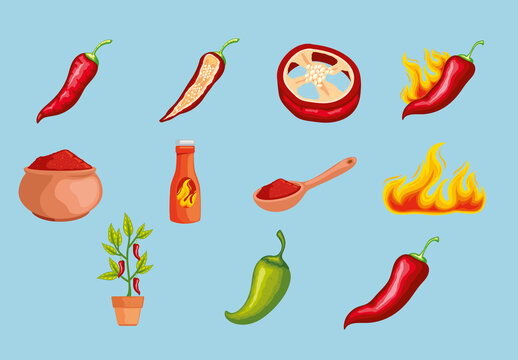 Colorful Chilli Pepper Cooking Spicy Ingredient Illustrations Set