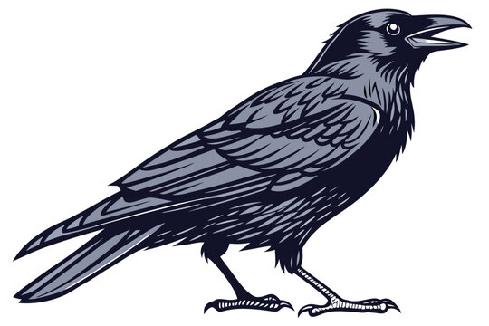 Stylized Black Crow Bird Illustration Vector Art