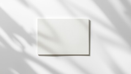 White surface made of cardboard or concrete serving as a neutral background for text or visual content