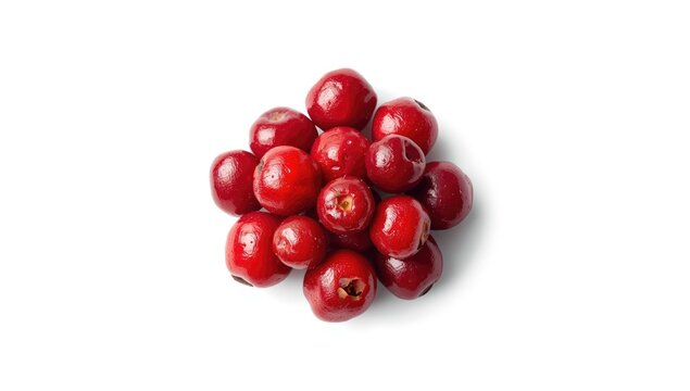 Dogwood fruits isolated on white, ideal for text overlay backgrounds