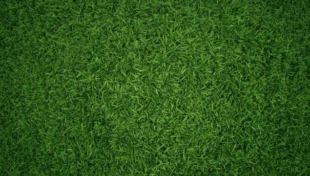 Lawn grass surface used as a backdrop for UI elements or editorial headers