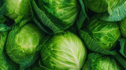 Fresh green cabbages stacked together in a market display during the day