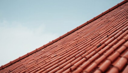 Roof tiles of a classic Buddhist temple, highlighting historic architectural style and craftsmanship