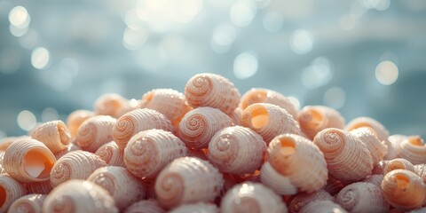 Detailed view of conch shells highlighting oceanic origins, useful for marine biology educational materials