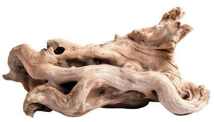 Piece of twisted tree roots shows organic shapes and realistic texture. The cut-out design on a transparent background makes it easy to incorporate into various projects like art or decor