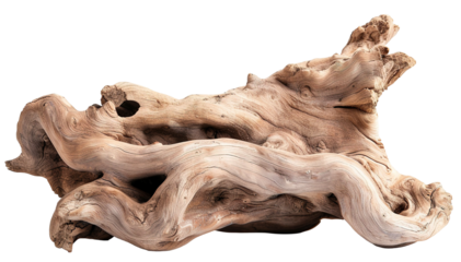 Piece of twisted tree roots shows organic shapes and realistic texture. The cut-out design on a transparent background makes it easy to incorporate into various projects like art or decor
