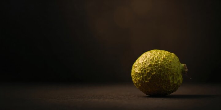 Annona Reticulate fruit with textured surface used in traditional medicine, its natural properties