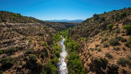 Aerial perspective of a small valley with a flowing stream during summer, highlighting landscape preservation