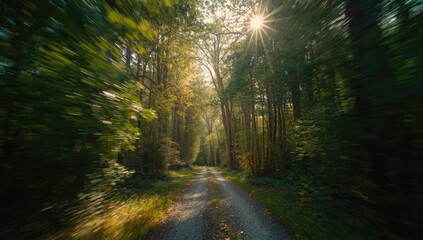 Obraz premium Bright sunlight illuminates a pathway bordered by trees, suitable for use in travel or outdoor activity layouts