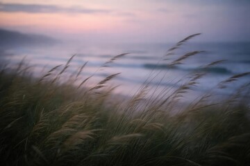 Blurred coastal grass and reeds moving in evening breeze by misty ocean