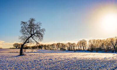 winterliche Schneelandschaft  auf den Feldern und &Auml;ckern im Norden von Berlin, Berlin-L&uuml;bars, Reinickendorf, Deutschland