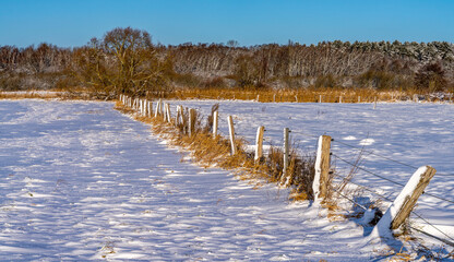 winterliche Schneelandschaft  auf den Feldern und &Auml;ckern im Norden von Berlin, Berlin-L&uuml;bars, Reinickendorf, Deutschland
