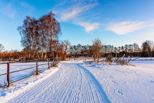 winterliche Schneelandschaft  auf den Feldern und &Auml;ckern im Norden von Berlin, Berlin-L&uuml;bars, Reinickendorf, Deutschland