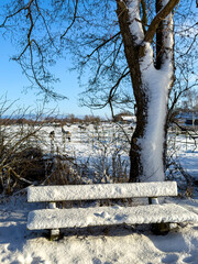 winterliche Schneelandschaft  auf den Feldern und &Auml;ckern im Norden von Berlin, Berlin-L&uuml;bars, Reinickendorf, Deutschland