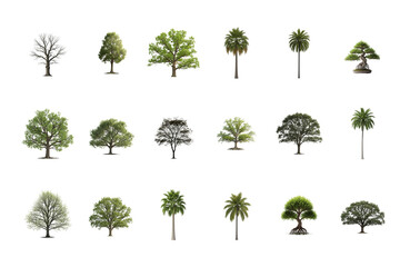Diverse collection of trees with various leafy and bare styles