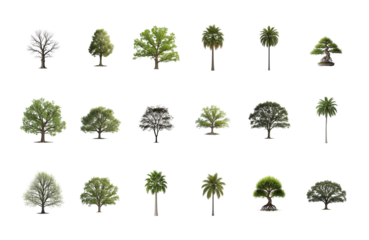 Diverse collection of trees with various leafy and bare styles