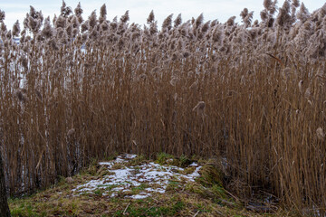 jazioro , pławnowice, plaża  © rob