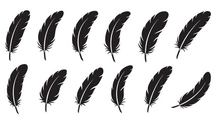 Set of twelve detailed realistic bird feathers isolated on transparent background