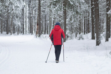 Nordic walking in the park in winter.