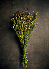 Bunch of ripe flax on a rustic background. Top view. Organic plants