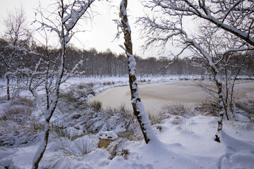 M&auml;rchenhafte Winterlandschaft mit Schnee am Kaltenhofer Moor.