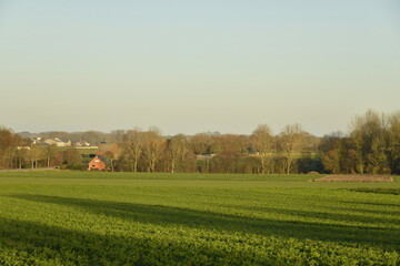 Lumi&egrave;re du coucher de soleil sur un paysage rural &agrave; Ghislenghien (Ath) 