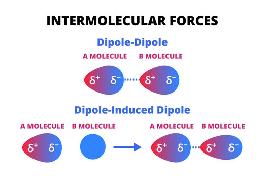 Illustration of dipole&ndash;dipole and induced dipole interactions, showing how polar and nonpolar molecules attract each other in intermolecular forces. Illustration is isolated on white background.