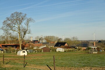 L'arbre majestueux dominant une grande pâture sous un ciel bleu d'hiver à Ghislenghien (Ath)  © Photocolorsteph