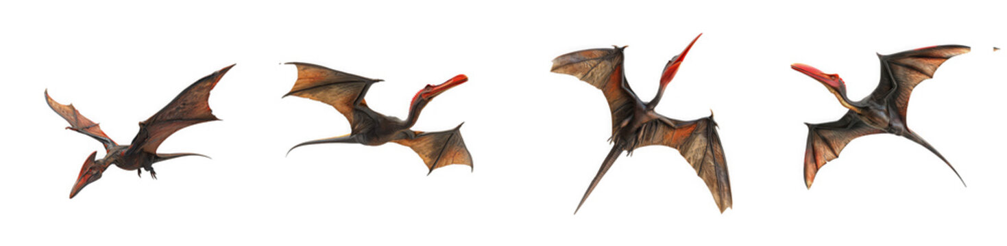 Four dynamic perspectives of a stylized orange and gray pterodactyl in flight on transparent background