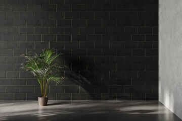 Empty dark room interior with black brick wall, concrete floor and potted palm plant. Minimalist background with copy space. 3D rendering