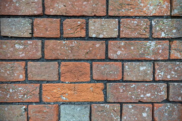 Red brick house wall background