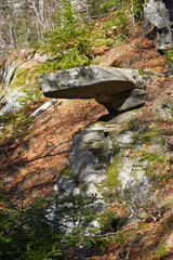 Obraz premium Rock formation stone mushroom on a forested hillside fallen autumn leaves coniferous and deciduous trees autumn nature flora landscape