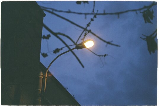 A quiet streetlight glowing against a deep blue evening sky, framed by bare branches &mdash; a moody, atmospheric moment captured on film.