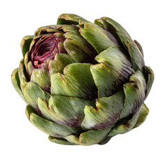 Fototapeta premium Fresh green artichoke isolated on transparent background