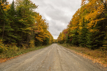Golden Road, Millinocket, ME
