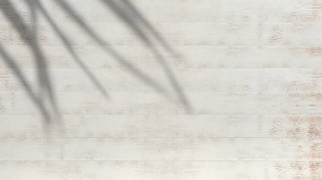 Shadow of palm tree moving gently in the wind on white faded wooden slat plank wall background in summer sun, backdrop	
