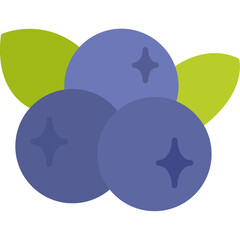 Blueberries Icon