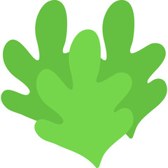 Lettuce Icon