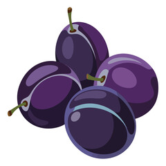 fresh plum fruit bunch isolated vector design for fruit icon healthy food nutrition or fruit market element design