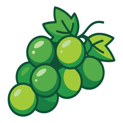 Illustration of fresh green grapes bunch delicious and healthy fruit for vegetarian diet isolated on white background concept food