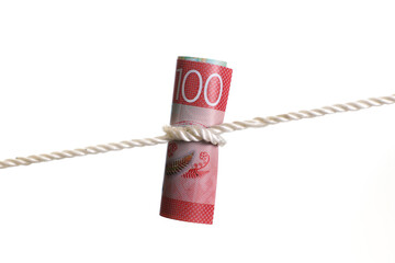 Pressure on the New Zealand Dollar