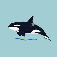 Illustration of a killer whale jumping out of the water on a blue background.
