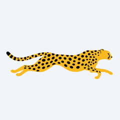 Illustration of a cheetah running on a white background, vector art.